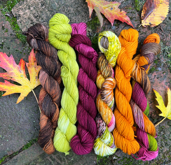 Happy Camper Yarn Bundle Kit