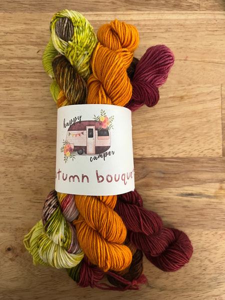 Happy Camper Yarn Bundle Kit